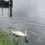 Luxe Watervilla Met Eigen Aanlegsteiger Geschikt Voor Maximaal 6 Personen In Recreatiegebied De Gouden Ham In *